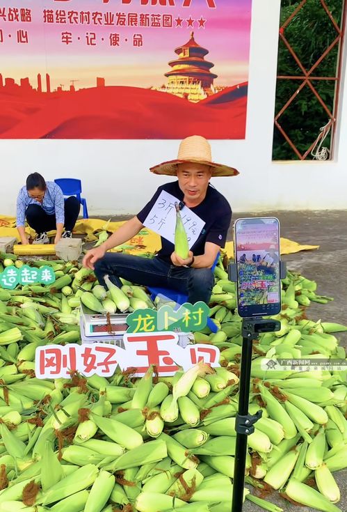 柳北区龙卜村创新线上线下双轨销售模式助力乡村产业振兴