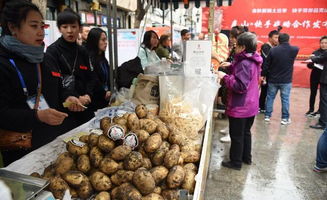 东北网红 快手平台上的农产品带货新势力，如何成为区域经济新支柱