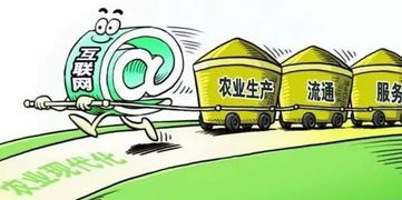 农村电商新时代 网上销售农产品的五大实操指南