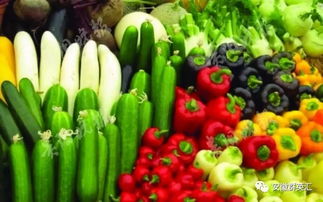 逆袭的传奇 深圳农产品电商巨头的崛起之路